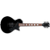 ESP LTD EC-201FT