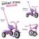 Smart Trike Fun Tricycle