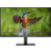 Koorui E2412F 24 Inch FHD Monitor