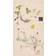 Hilma Af Klint : What Stands Behind The Flowers (Hardcover)