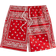 Shein Herren Strandshorts mit Paisley-Muster und Kordelzug-Taille für Urlaub