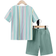 Shein Tween Boys Playful Vacation Style Short Sleeve TShirt and Shorts