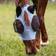 Waldhausen Anti-fly Mask Puck - Bleu