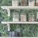Nuwallpaper Nu Self Adhesive Maui Navy Blue
