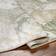 Latitude Run Amneris Machine Woven Area 160 x 213 cm - Ivory/Tan/Olive/Sage/Taupe Green, White 120x170cm