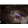 Path of Exile 2