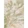 Latitude Run Amneris Machine Woven Area 160 x 213 cm - Ivory/Tan/Olive/Sage/Taupe Green, White 120x170cm