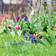 Bellissa Lawn Edge Circle 40x13cm