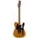 Fender Standard Telecaster Electric Guitar Butterscotch Blonde