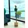 United In Art And Love Genuine Bronze Prydnadsfigur 120cm