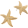 Accessorize Statement Starfish Stud Earrings - Gold