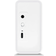 Amadeus Campana White
