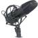 Power Dynamics PDS-M01