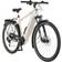 Fischer Viator 7.0i 28" 630 Wh 2023 Cement Greige Matt