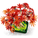 LEGO Botanicals Bonsaitræ: Japansk løn 10348