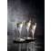 Luigi Bormioli Mixology Snapseglas 7cl