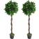 Leaf Pair of 120 cm Twisted Trunk Topiary Bay Laurel Ball Trees Artificial Plant