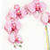 Greeting Card Happy Mother's Day