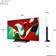 LG OLED48C43LA