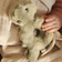 Liewood Romain Crocodile