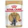 Royal Canin British Shorthair Wet Cat Food 85g 12pack