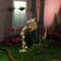 Muross Solar Watering Can Light Gold Lantern 12cm