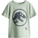 H&M Boys Printed Cotton T-shirt - Green