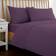 Dunelm Pure Bed Sheet Purple (190x120cm)