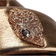 Kurt Geiger Orson - Bronze