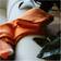 IKEA STOCKHOLM Pläd 2025 Filt Orange (200x150cm)