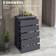 Homcom High Gloss Grey Chest of Drawer 53x100cm