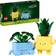 LEGO Botanicals Happy Plants Building Set 10349