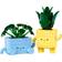 LEGO Botanicals Happy Plants Building Set 10349