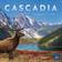 Cascadia Kortspil, Board game
