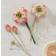 Panduro Hobby Floristtejp 12mm 27m Grön 3 rl