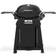 Weber Q 2800N+