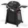 Weber Q 2800N+