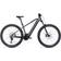 Cube Reaction Hybrid Race 750 Electric MTB 29" - Gray/Metal