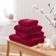 Dunelm Egyptian Cotton Guest Towel Red (90x50cm)