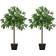 OutSunny Bay Laurel Green Artificial Plant 2pcs