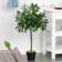 OutSunny Bay Laurel Green Artificial Plant 2pcs