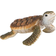 Bullyland Young Sea Turtle 63569