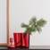 Iittala Aalto Red Vas 16cm