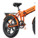 Engwe EP-2 Pro - Orange Unisex