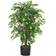 Leaf Ficus Large Bushy Shape Green Konstgjord växt