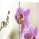 vidaXL 240475 Pink Room Divider 120x170cm