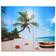 vidaXL 240478 Blue Romavdeler 170x200cm