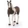 Schleich Pinto Mare 13830