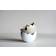 DBKD Happy Easter Bowl Mole Dot Påskdekoration 10cm