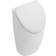 Villeroy & Boch Urinarios, 290 x 495 x 245 mm, suministro de agua empotrado, porcelana sanitaria Blanca Tapa